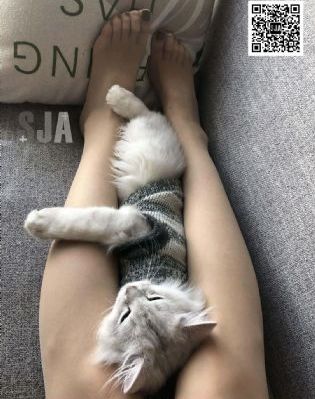 催眠调教我的专属麻麻_剧情片免费电视剧