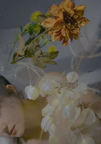 流星花园免费看全集_超清高清在线观看